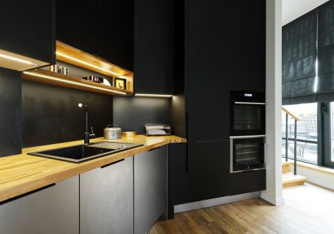 Virtuve ar Fenix fasādēm